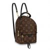 Louis Vuitton LV Unisex Palm Springs Backpack Mini in Monogram Coated Canvas-Brown