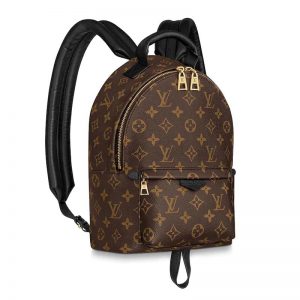 Louis Vuitton LV Unisex Palm Springs PM Backpack in Monogram Coated Canvas-Brown