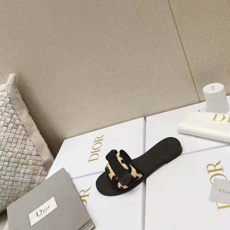 dior evolution slide