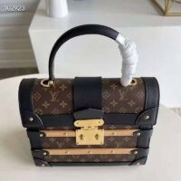 Louis Vuitton Unisex Trianon PM Handbag Monogram Coated Canvas Calfskin Leather Wood