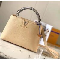 Louis Vuitton LV Unisex Capucines MM Handbag Grey Taurillon Cowhide (10)