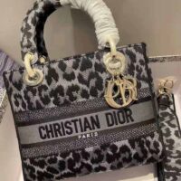 Dior Women Medium Lady D-lite Bag Gray Mizza Embroidery (1)