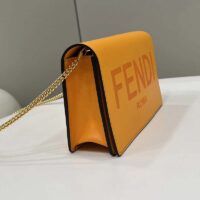 Fendi Women FF Wallet On Chain Brown Leather Mini Bag (4)