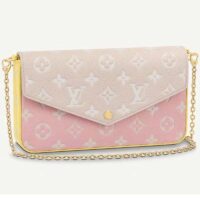 Louis Vuitton LV Women Félicie Pochette Monogram Empreinte Embossed Supple Grained Cowhide (11)