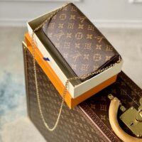 Louis Vuitton LV Women Félicie Pochette Pink Brown Monogram Coated Canvas (1)