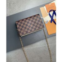 Louis Vuitton LV Women Vavin Chain Wallet Beige Damier Ebene Coated Canvas (2)